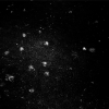 &nbsp;